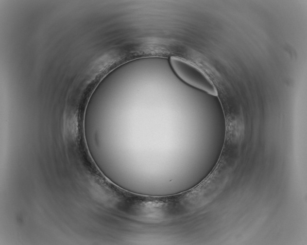 X0000112540158200908171450