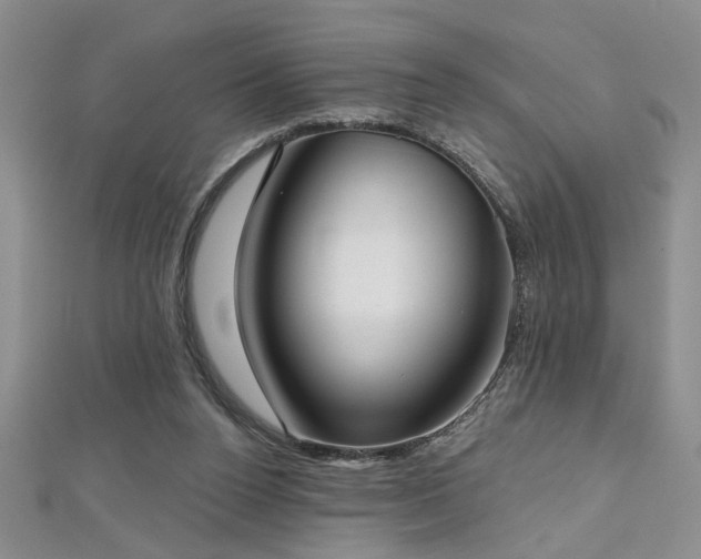 X0000112540160200908171450