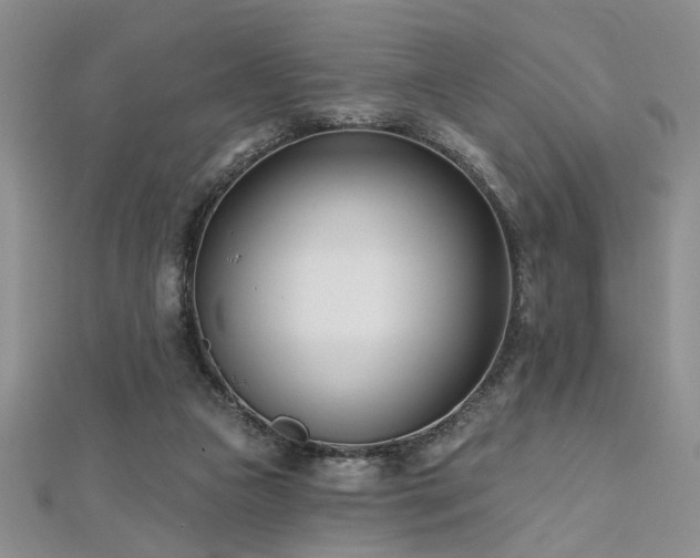X0000112540161200908171450