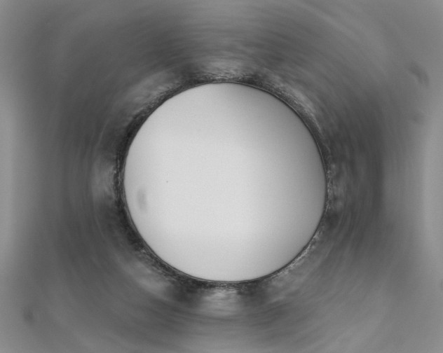 X0000112540162200908171450