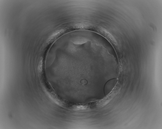 X0000112540163200908171450