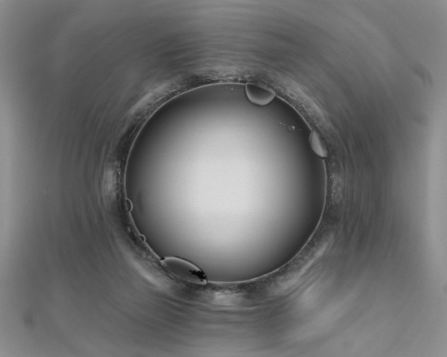 X0000112540165200908171450