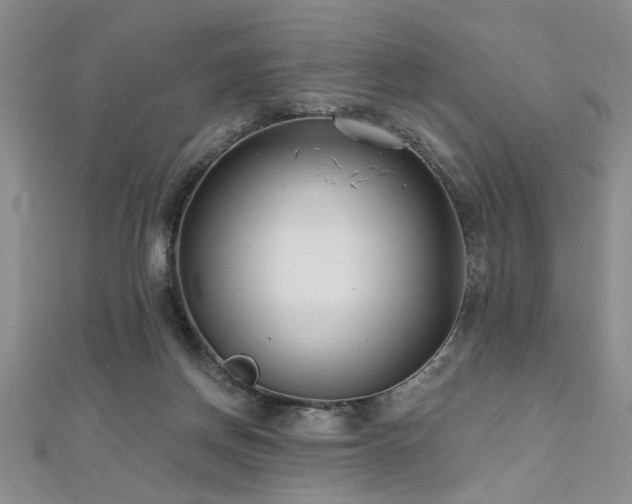 X0000112540166200908171450