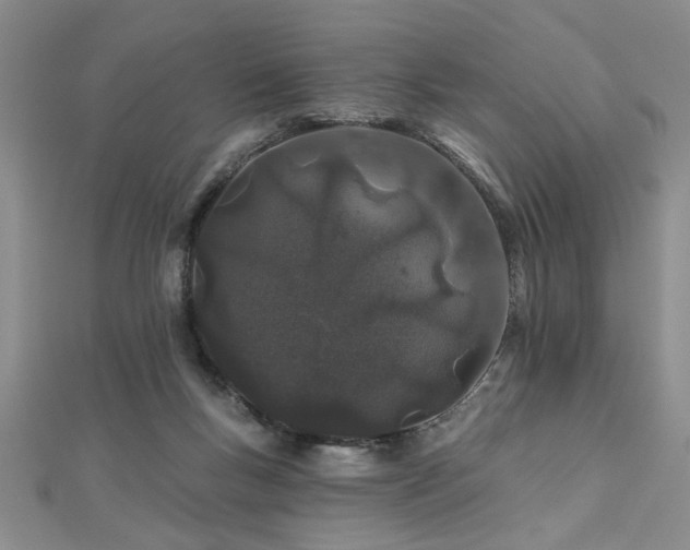 X0000112540167200908171450