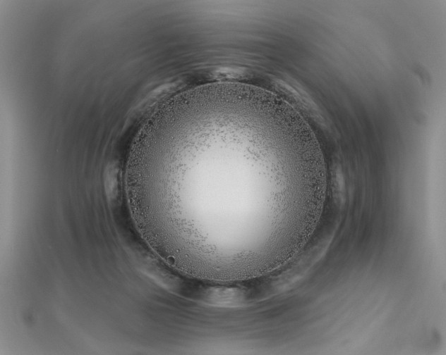 X0000112540169200908171450