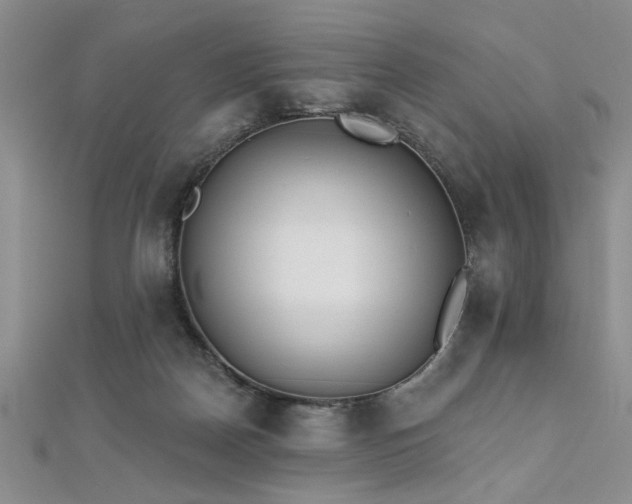 X0000112540170200908171450