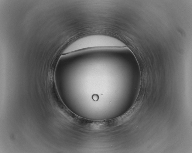 X0000112540172200908171450