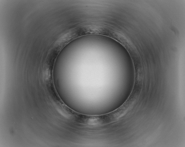 X0000112540173200908171450