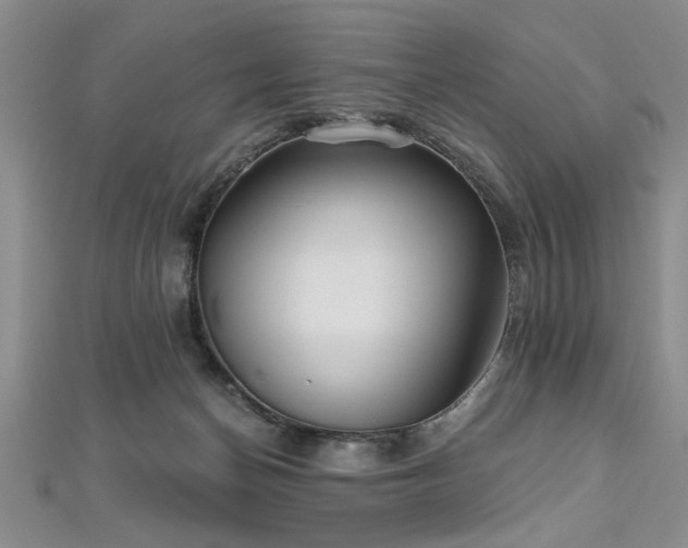 X0000112540174200908171450