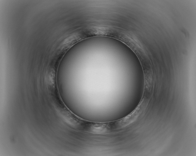 X0000112540175200908171450