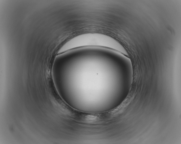 X0000112540176200908171450