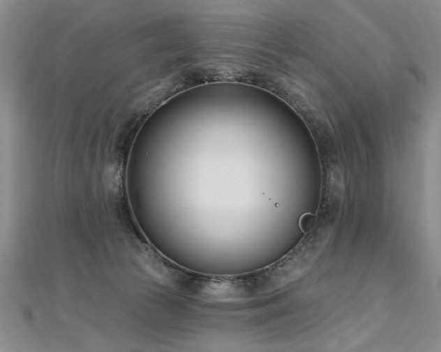 X0000112540177200908171450