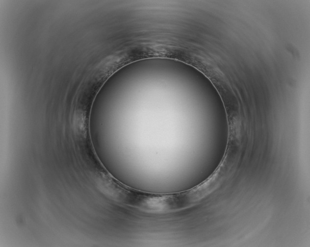 X0000112540178200908171450