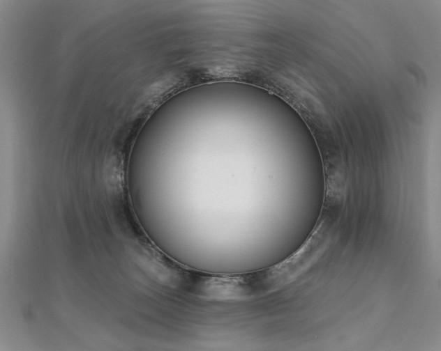 X0000112540179200908171450