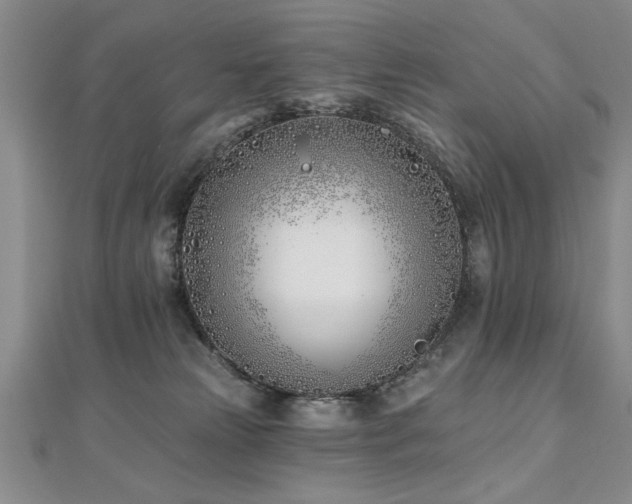 X0000112540181200908171450