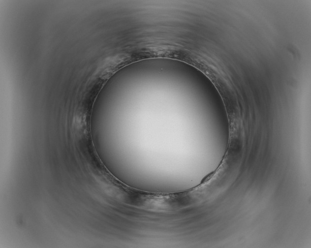 X0000112540182200908171450