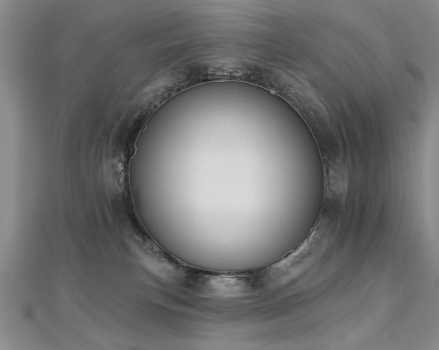 X0000112540183200908171450