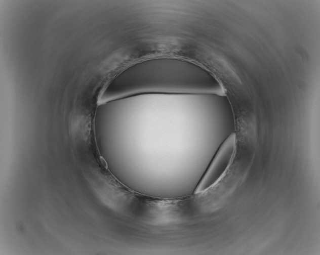 X0000112540184200908171450