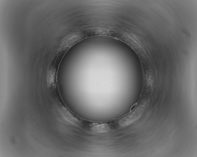 X0000112540185200908171450