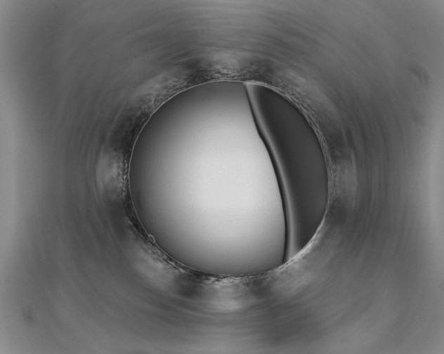 X0000112540186200908171450