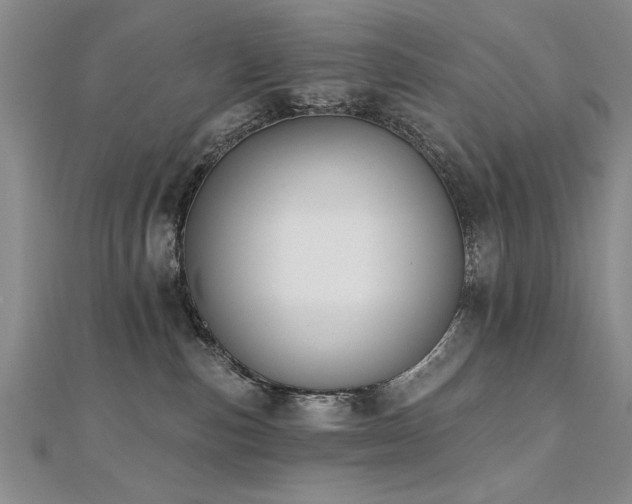 X0000112540187200908171450