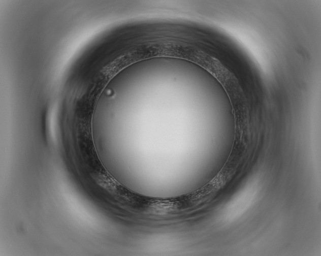 X0000112540189200908171450