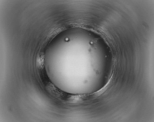 X0000112540190200908171450
