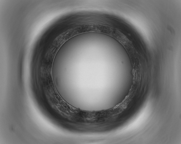 X0000112540191200908171450