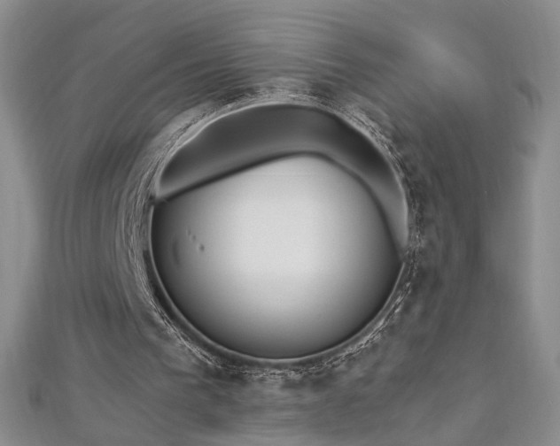 X0000112540193200908171450