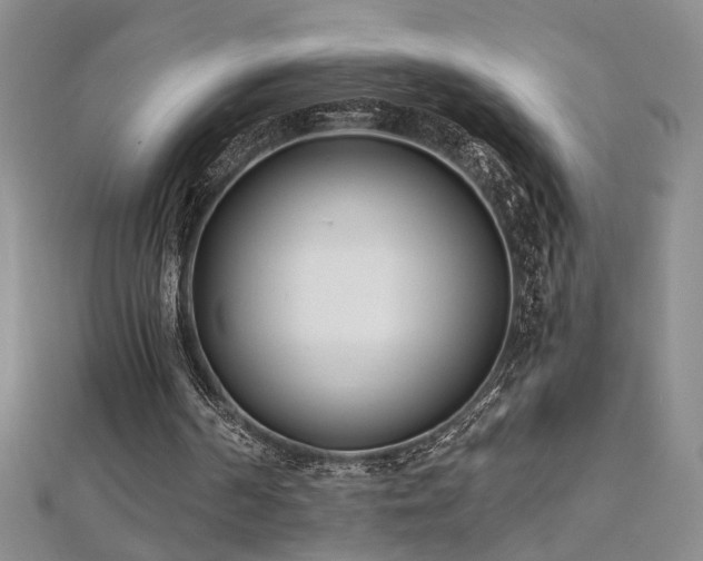 X0000112540194200908171450