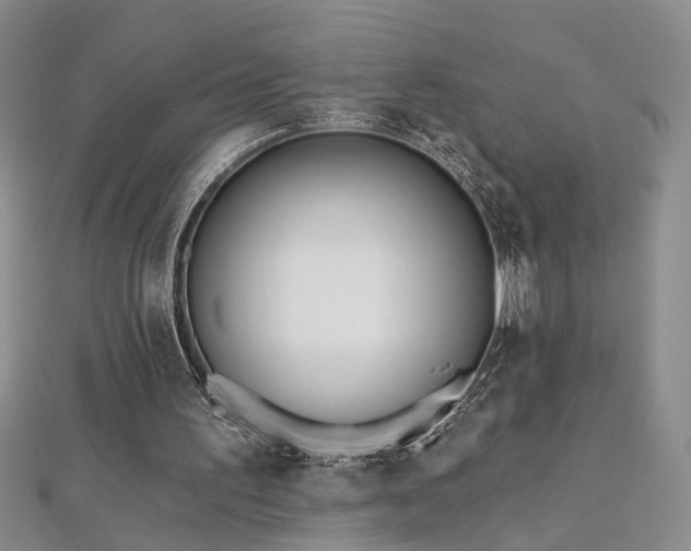 X0000112540195200908171450
