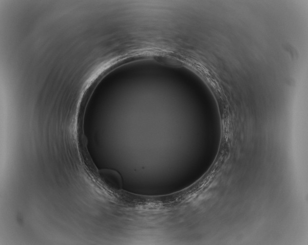 X0000112540196200908171450