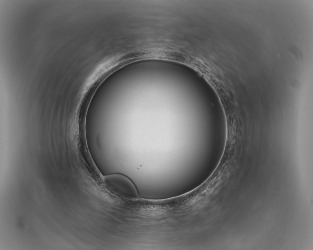 X0000112540198200908171450