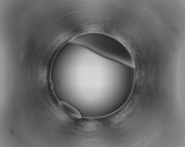 X0000112540201200908171450
