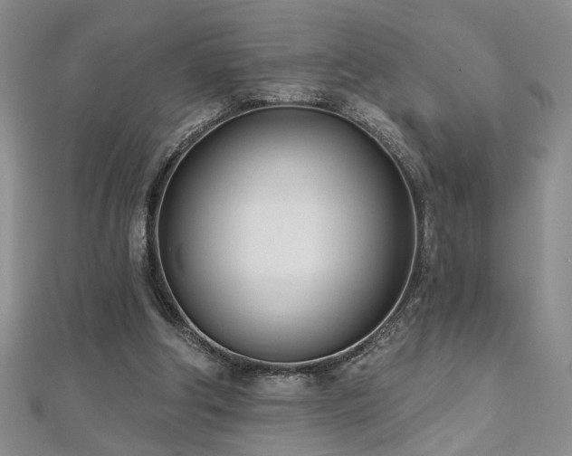 X0000112540202200908171450