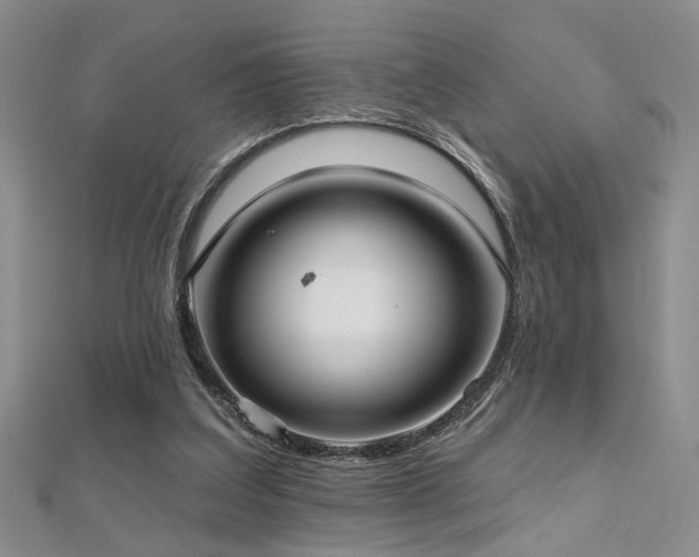 X0000112540203200908171450