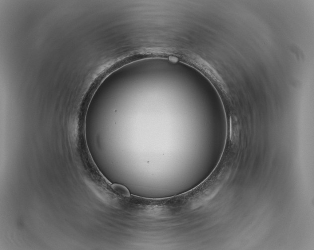 X0000112540204200908171450