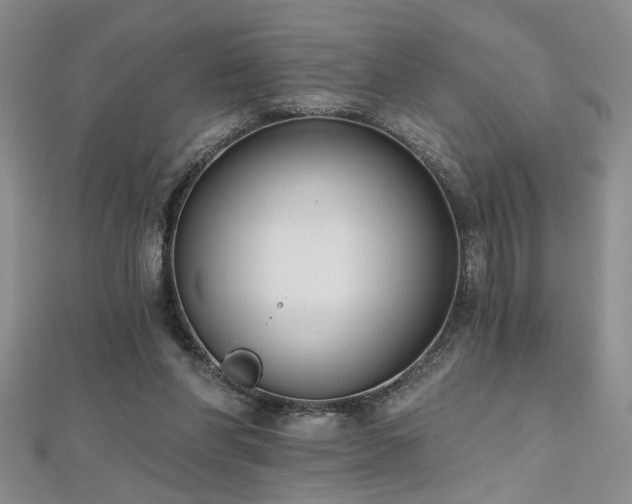 X0000112540206200908171450