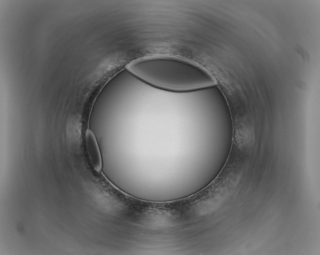 X0000112540207200908171449