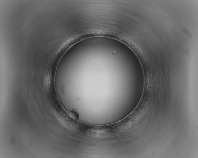 X0000112540208200908171449