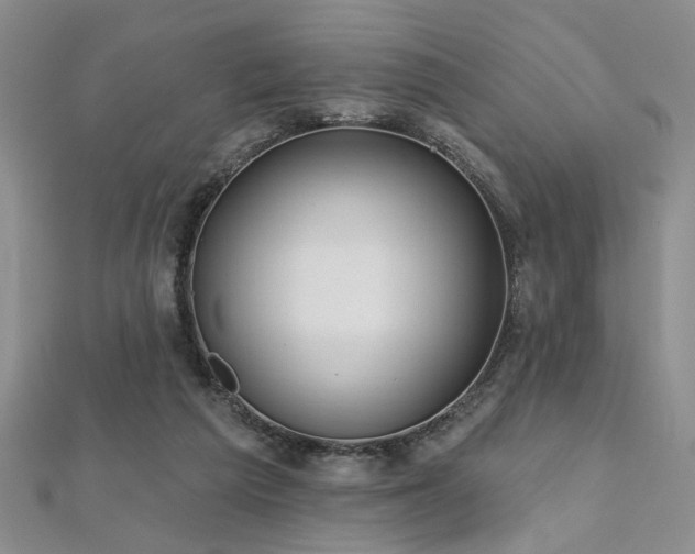 X0000112540209200908171449