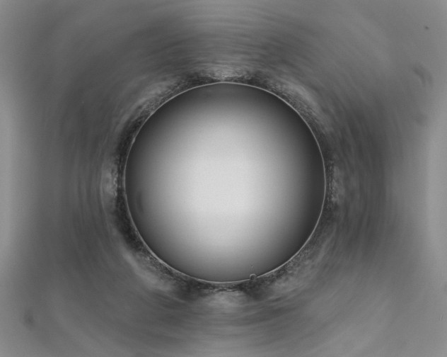 X0000112540210200908171449