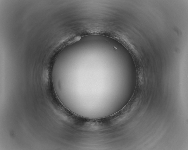 X0000112540211200908171449