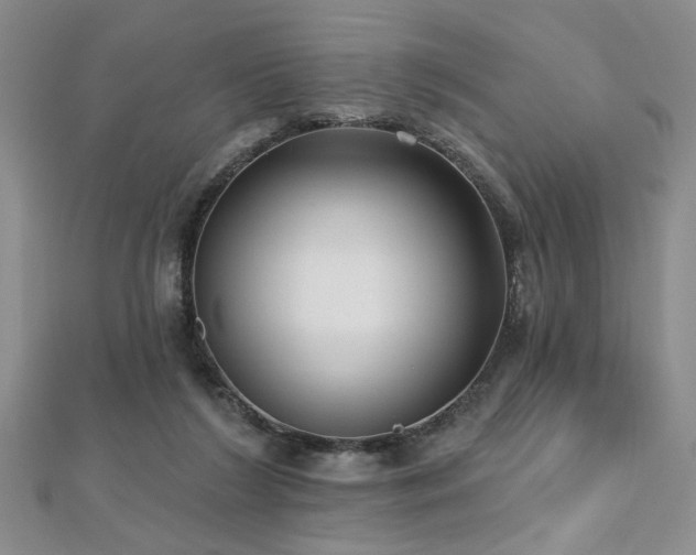 X0000112540212200908171449