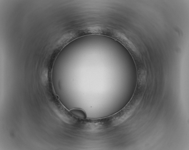 X0000112540213200908171449