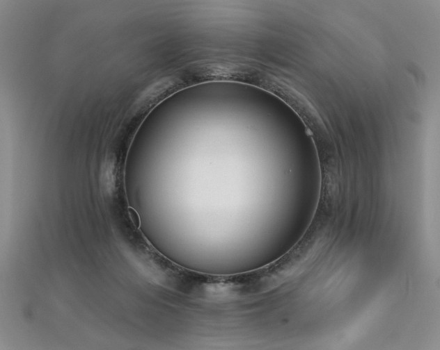 X0000112540216200908171449