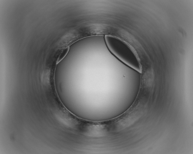 X0000112540217200908171449