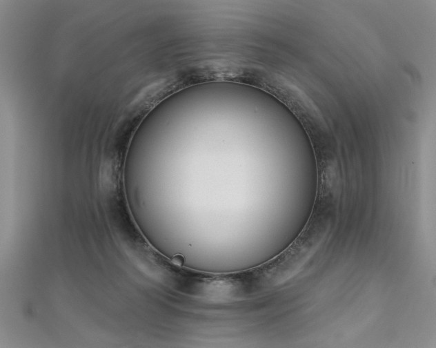 X0000112540218200908171449