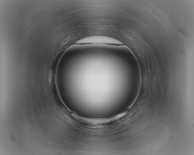 X0000112540219200908171449
