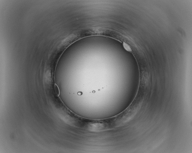 X0000112540220200908171449